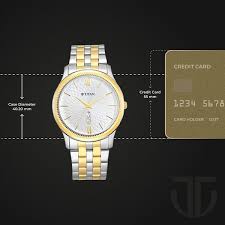 Titan Metal White Dial Analog with Day and Date Metal Strap watch for Men 1824BM02