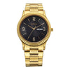 Titan Black Dial Gold Metal Strap Analog with Day Date Watch for Men
