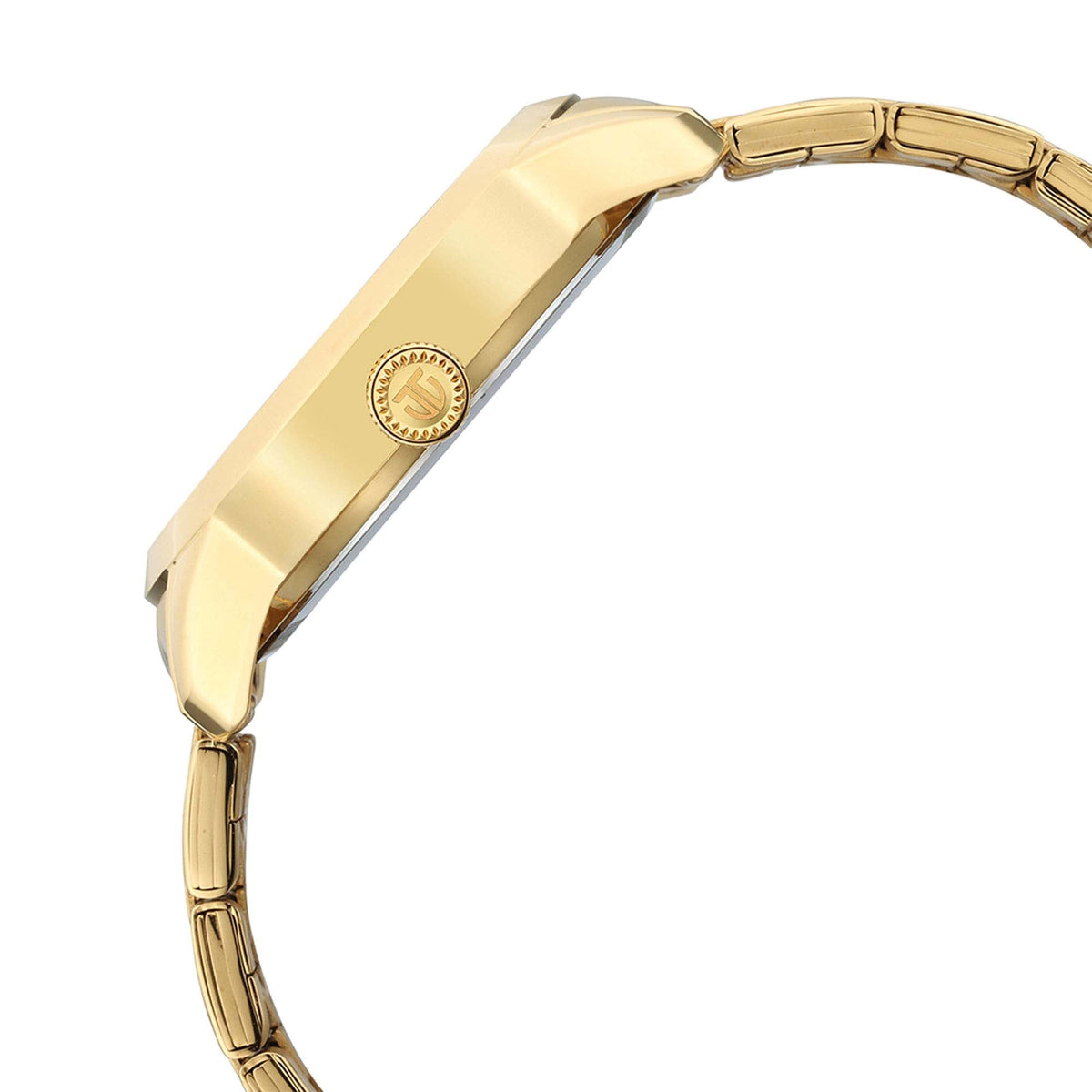Titan Regalia Opulent Champagne Dial Analog Stainless Steel Strap watch for Men
