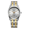 Titan Silver Dial Dual Color Stainless Steel Strap Analog with Date Watch for Men