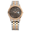 Titan Brown Dial Analog with Day and Date Stainless Steel Strap Watch for Men
