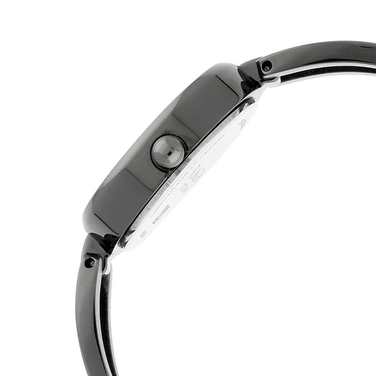 Titan Raga Viva Anthracite Dial Women Watch With Metal Strap 2579QM01