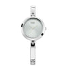 Titan Raga Viva Grey Dial Women Watch With Metal Strap 2606SM04