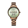 Titan Green Dial Brown Stainless Steel Strap Analog with Day and Date Watch for Women