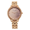 Titan Rose Gold Dial Stainless Steel Strap Analog Watch for Women