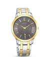 Titan Analog with Date Brown Dial Metal Strap watch for Men 1825BM01