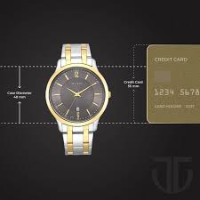Titan Analog with Date Brown Dial Metal Strap watch for Men 1825BM01