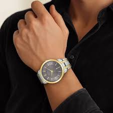 Titan Analog with Date Brown Dial Metal Strap watch for Men 1825BM01