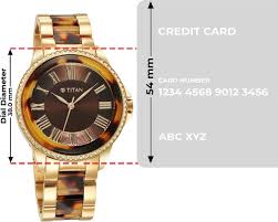 Titan Purple Ceramics Brown Dial Analog Stainless Steel Strap Watch for Women
