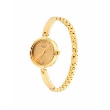 Titan Raga Viva Golden Dial Analog Metal Strap Watch for Women 2606YM06